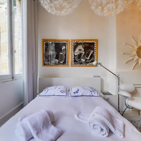 Chez Rose - Joli Studio En Plein Coeur De Bordeaux